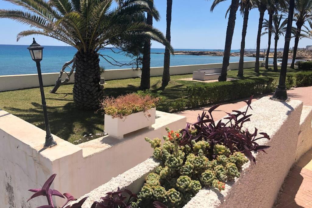 Apartamento Con Vistas Al Mar El Campello Exterior photo